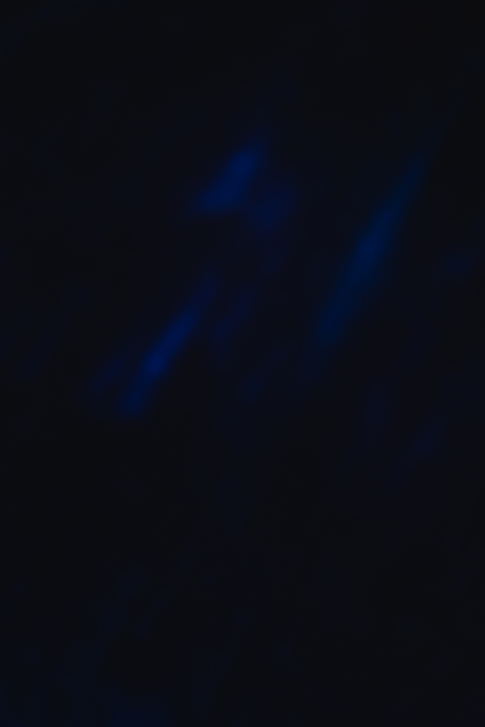 Blue Textile in Dark Room